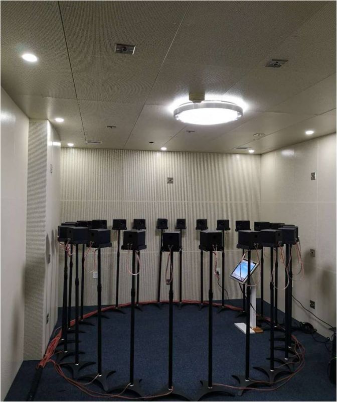 人工耳蝸聲源定位系統(tǒng)-